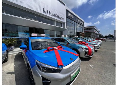 擦亮城市“綠色名片” 揚(yáng)州首批新能源出租汽車(chē)正式投用